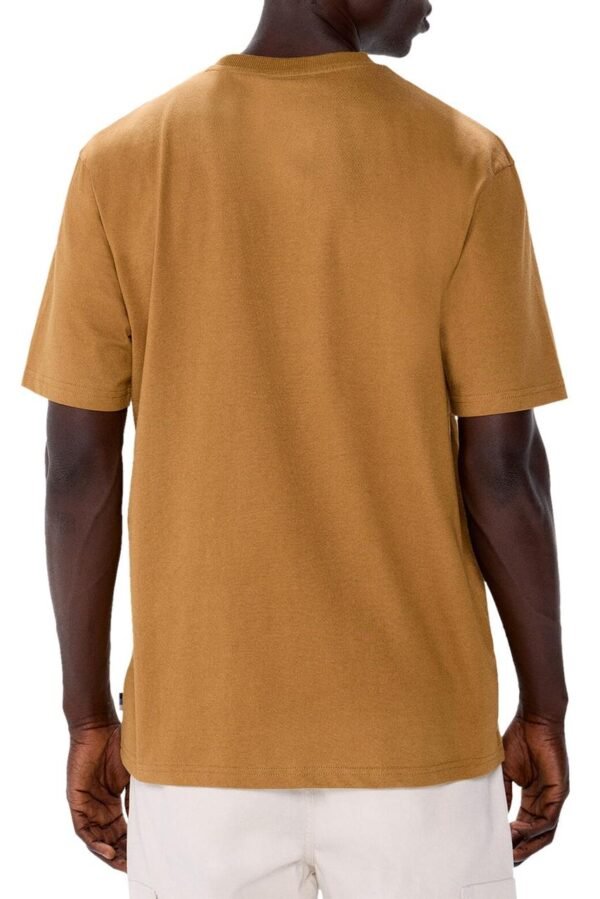 WhatsApp Image 2026-01-31 at 12.16.25 AM (1)